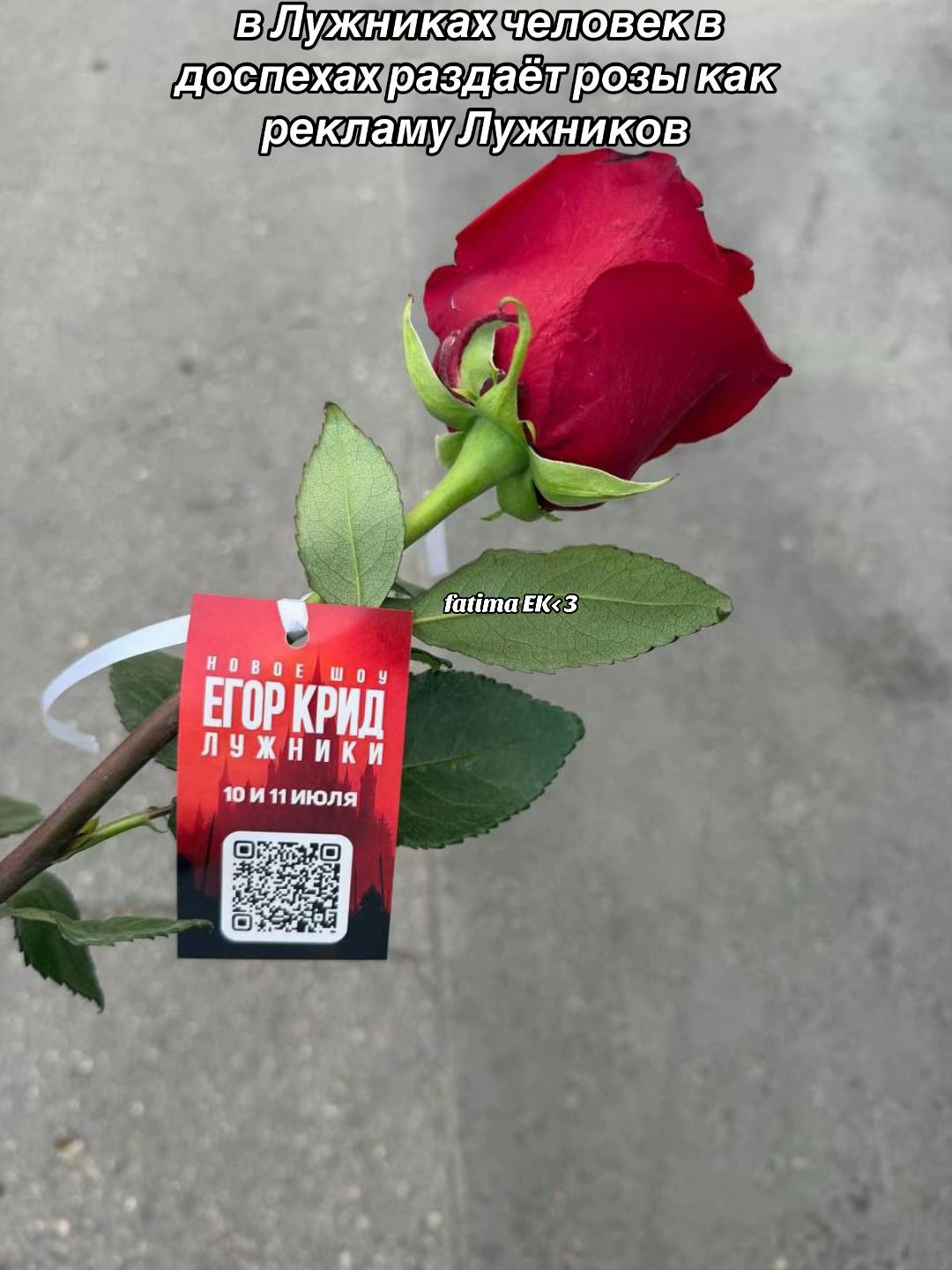 @𝒻𝒶𝓉𝒾𝓂𝒶 𝐸𝒦<3