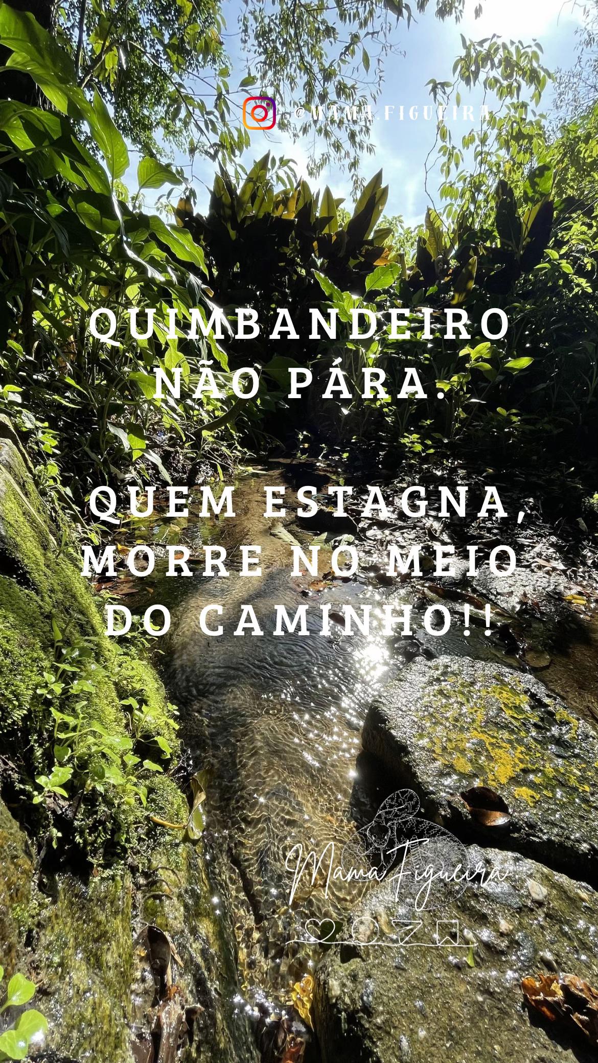 @Mama Figueira