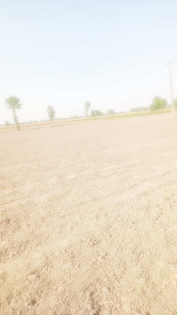 @muzamil husan