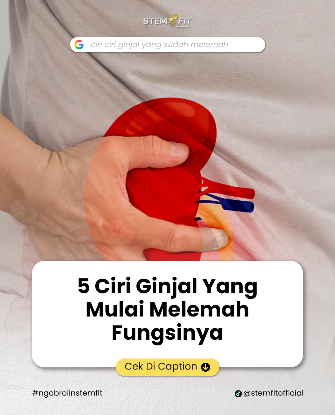 @Stemfit Official