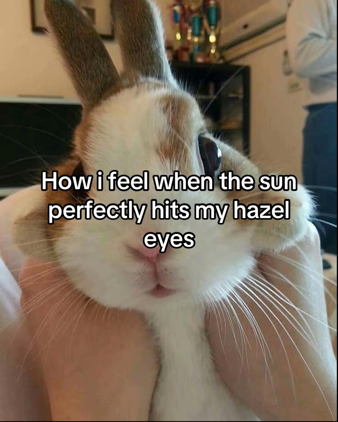 @Kitty<3💘