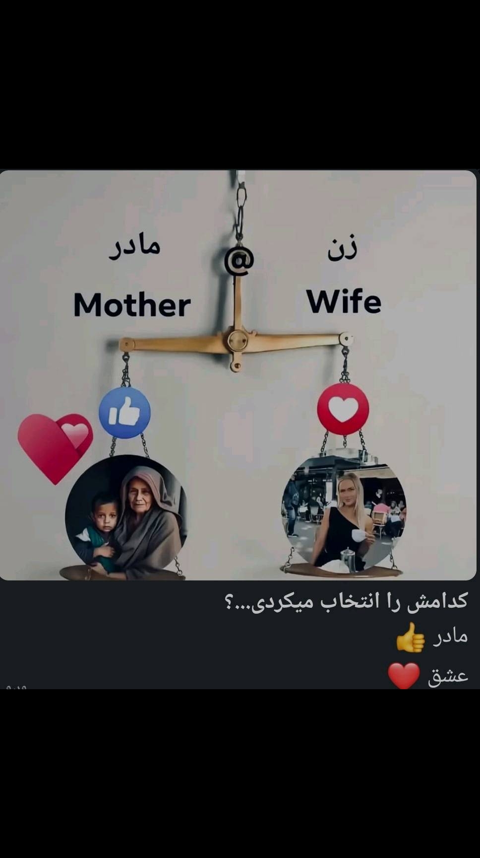 @shuaib mohammadi