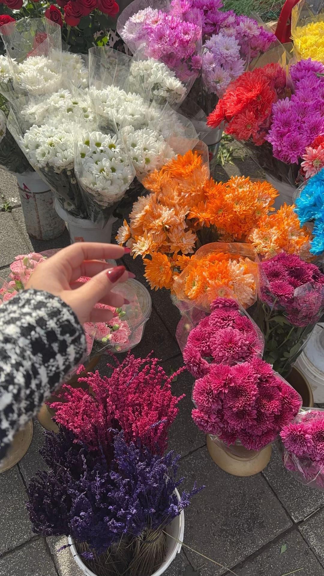 @R 🕊️✨