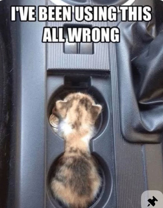 @Bratcats