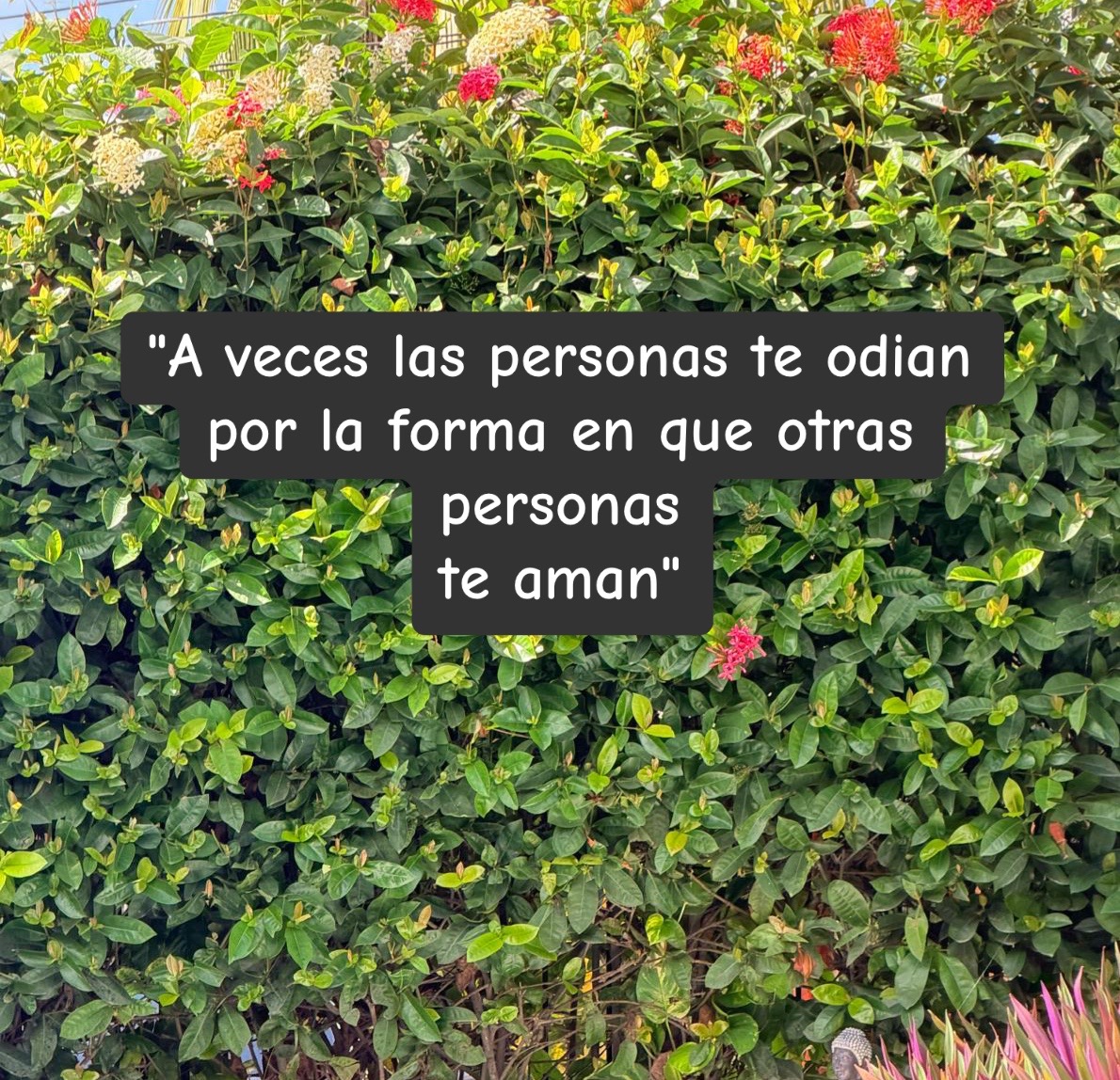 @💜😈🦥ᗩηηdι🍓🌻🧩♑︎