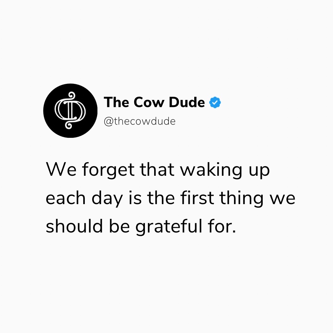 @The Cow Dude