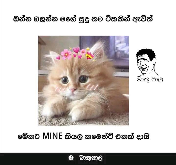 @💞*ANU&DINU*💞