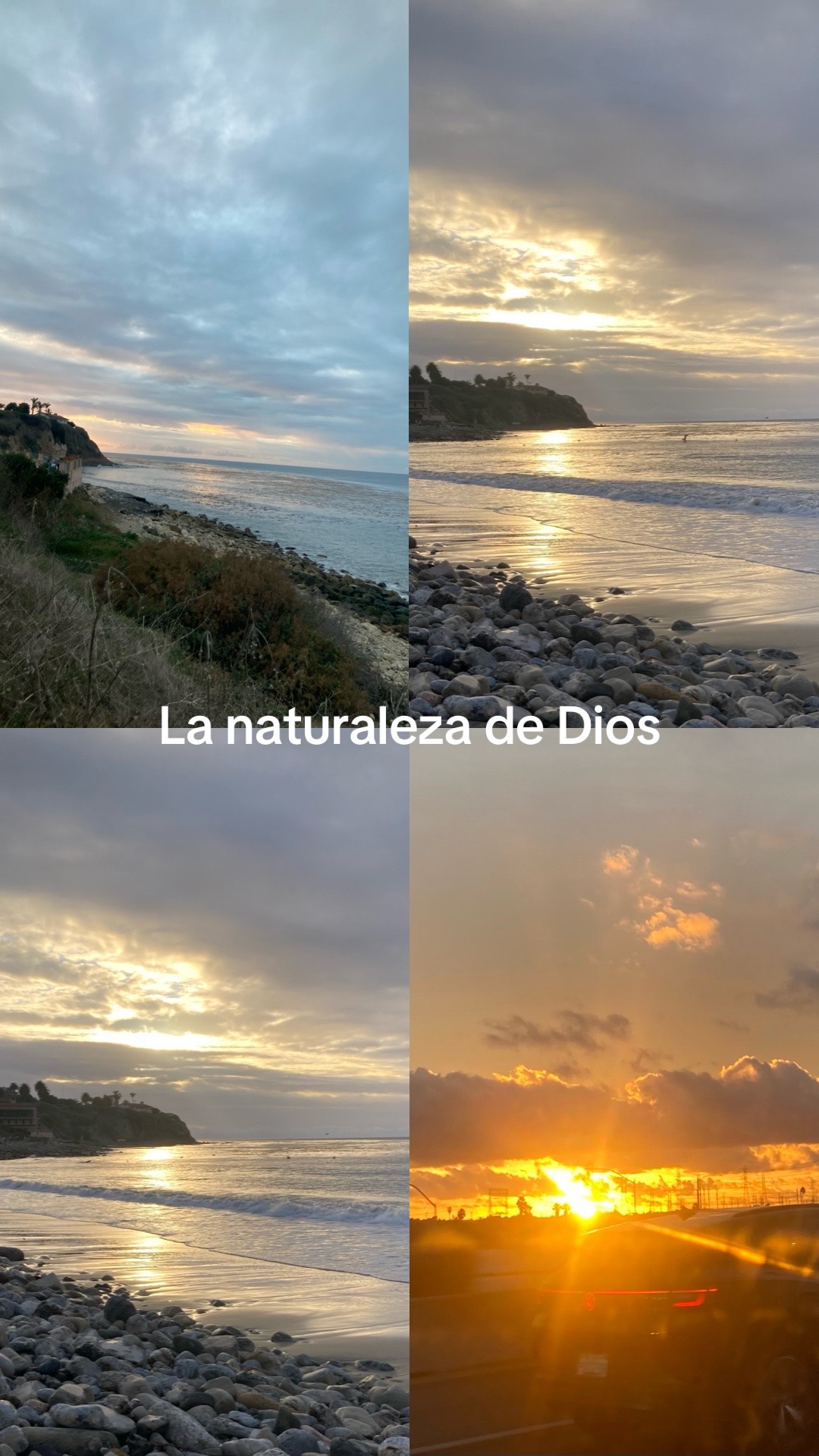 @latiarosa68