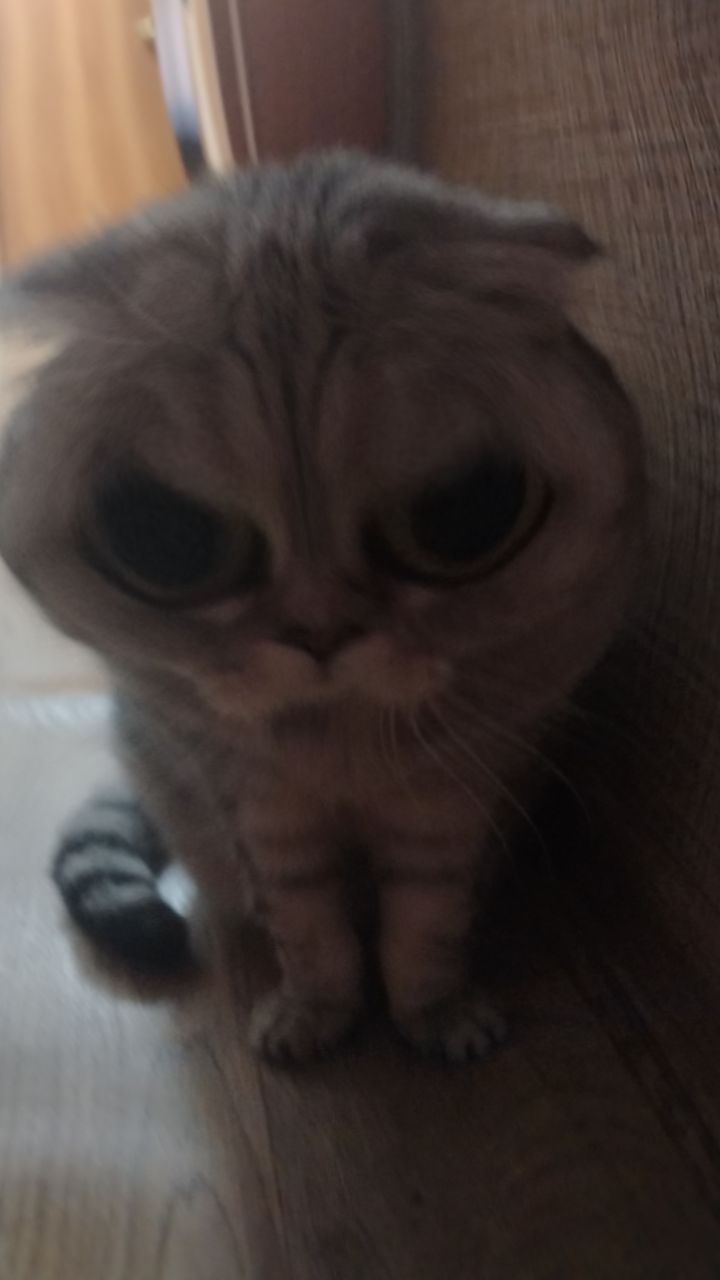 @ZZX