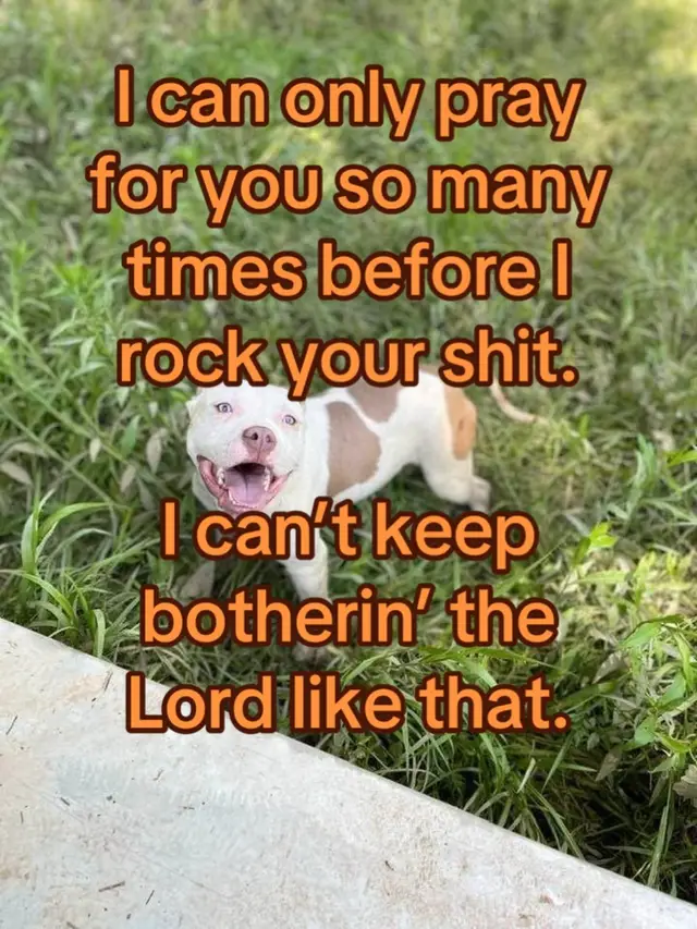 @ღⓈⓗⓔⓡⓨⓛღ