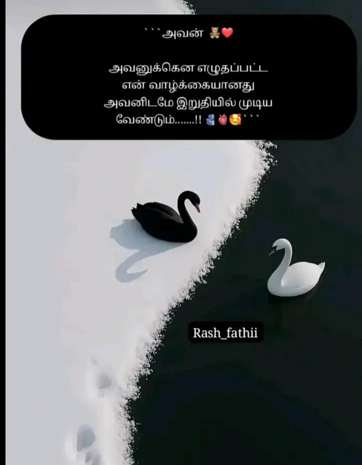 @💙பாரதியின்🦋🌎🫂கண்ணம்மா💙