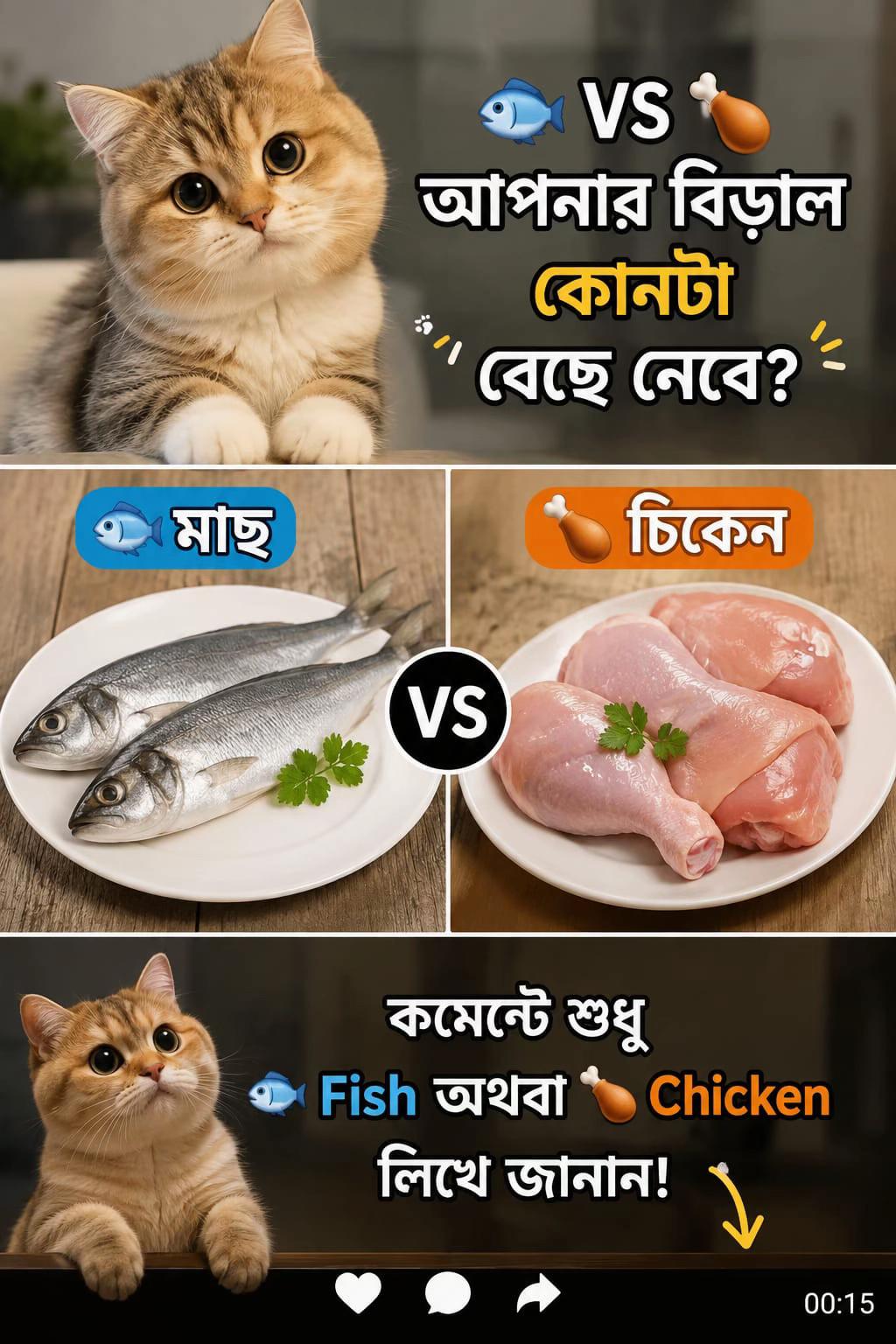 @🐇🐰elma... nohayet 🐈😸