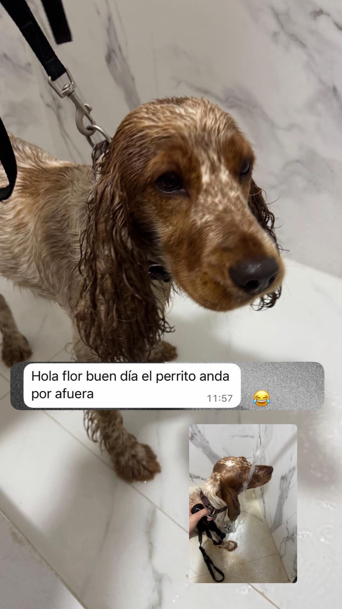 @Flor Grillo