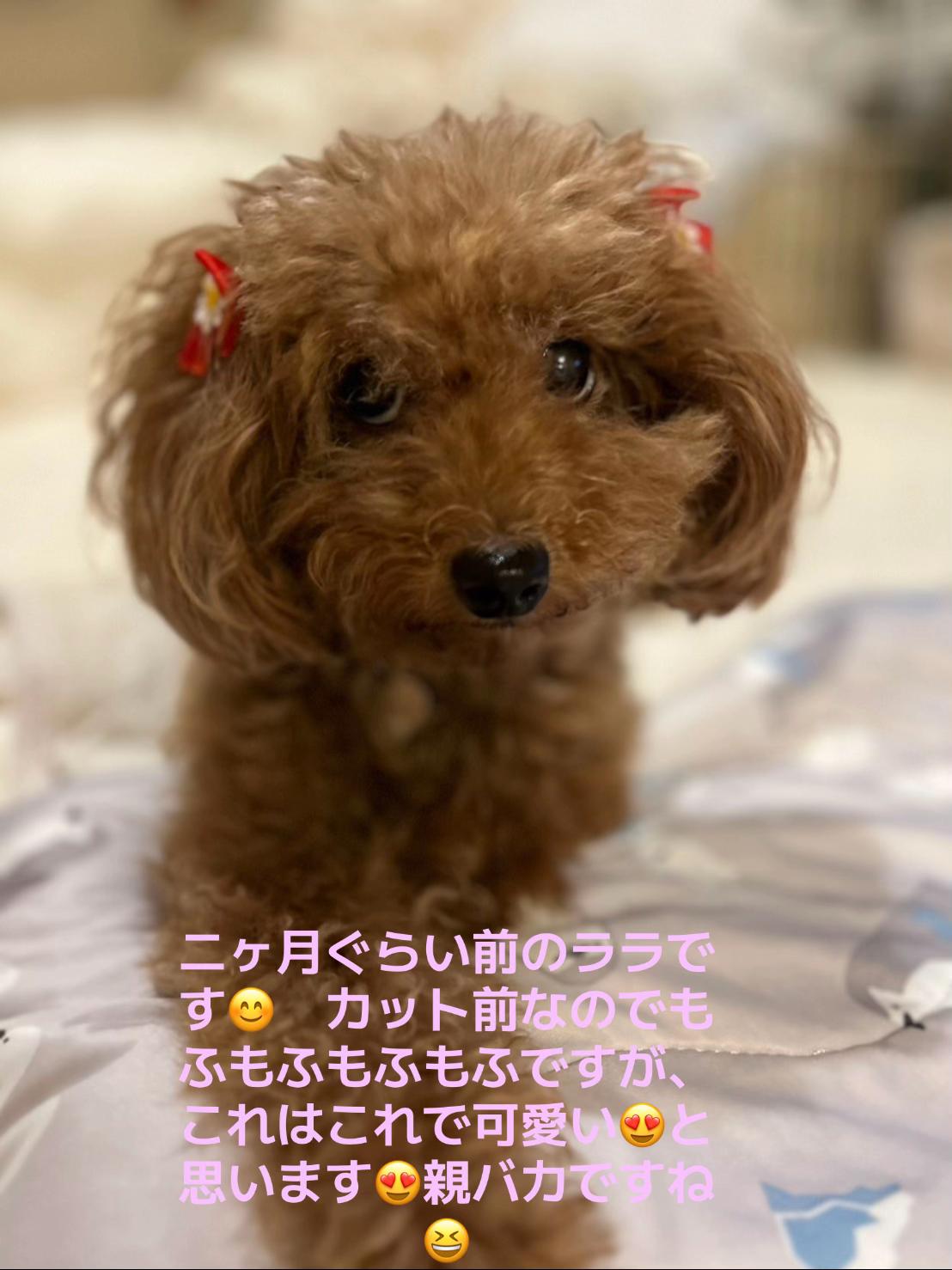 @モリジュン