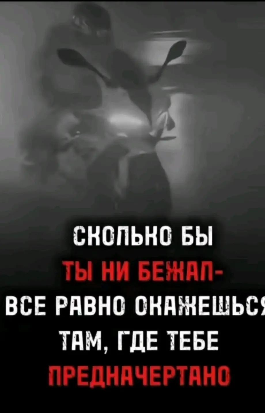 @Xpert