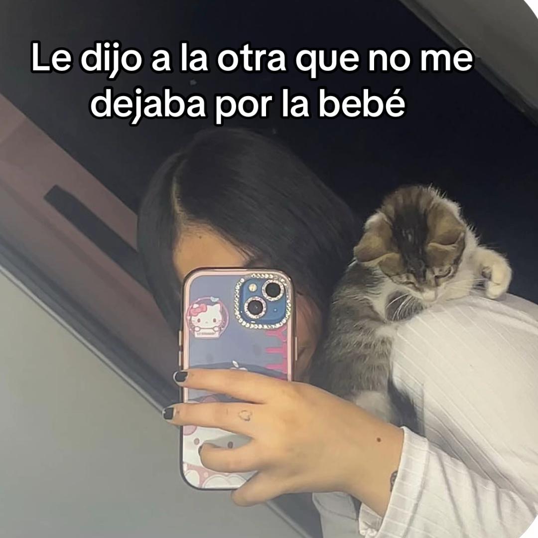@xiomi:3
