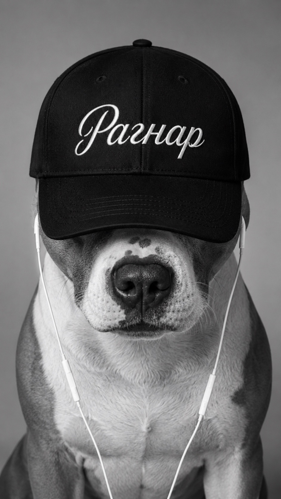 @🐾 ʀᴀɢɴᴀʀ sᴛᴀꜰꜰ 🐾