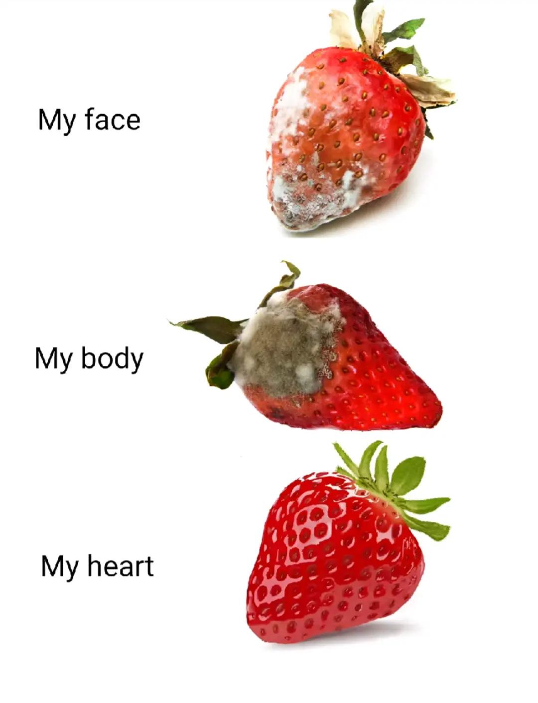 @ಠ︵ಠ
