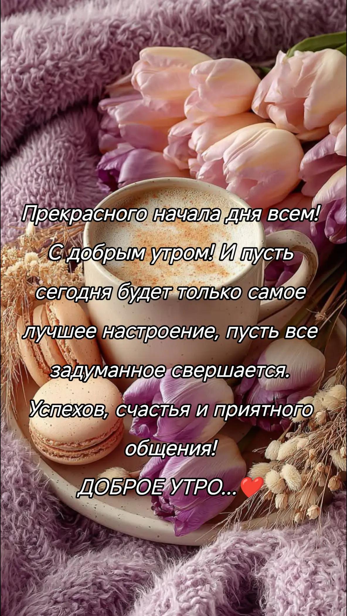 @Elza