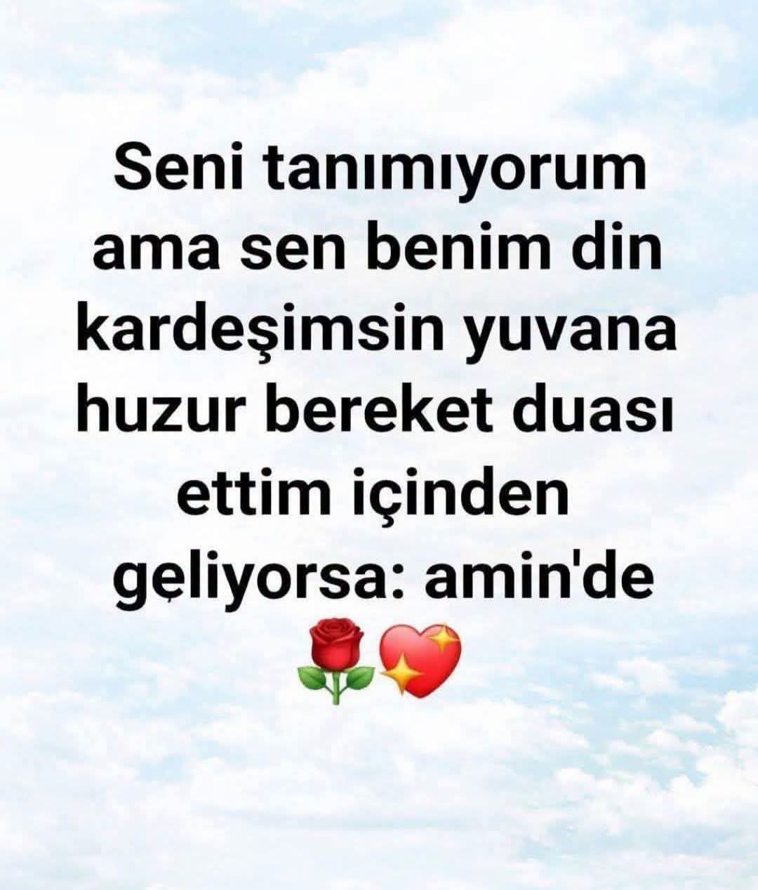 @Raziye Erim