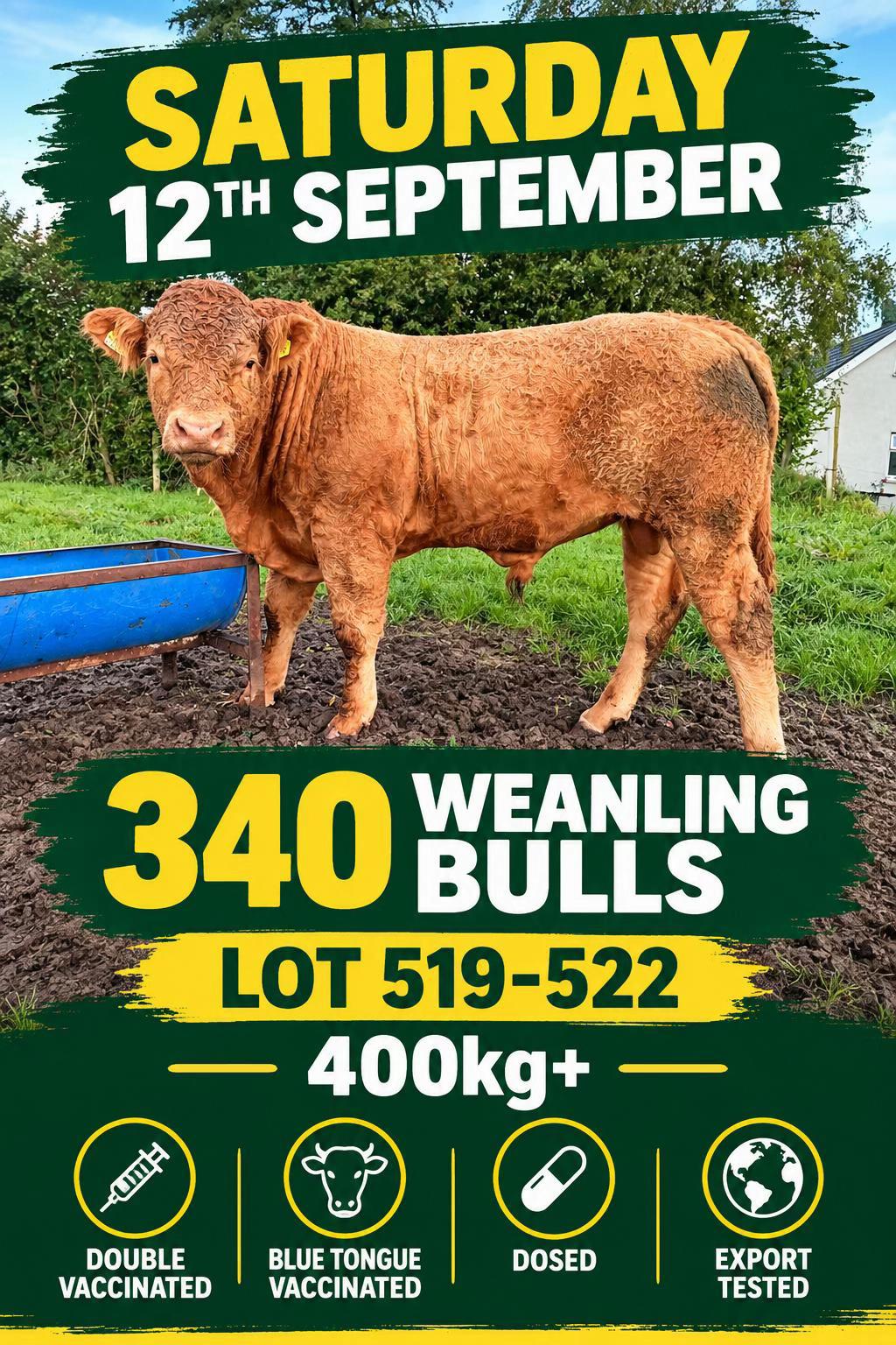 @Carrigallen_Mart