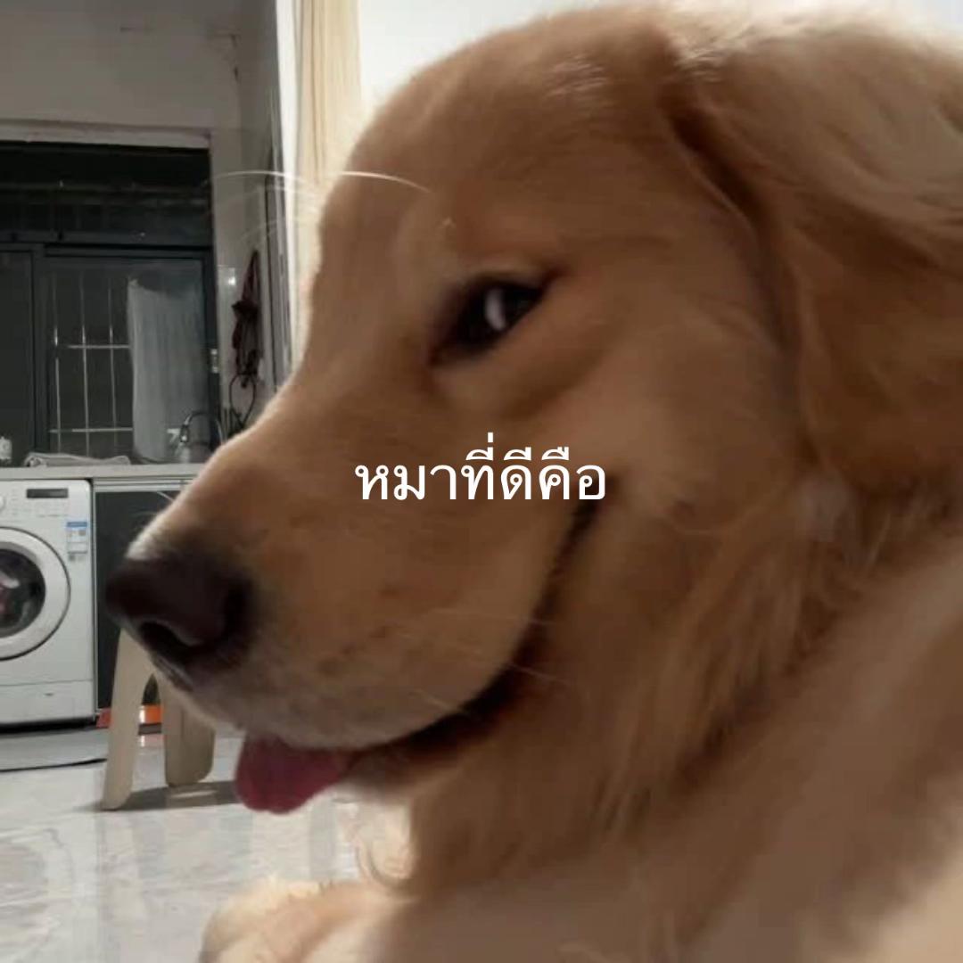 @ติ๋ม