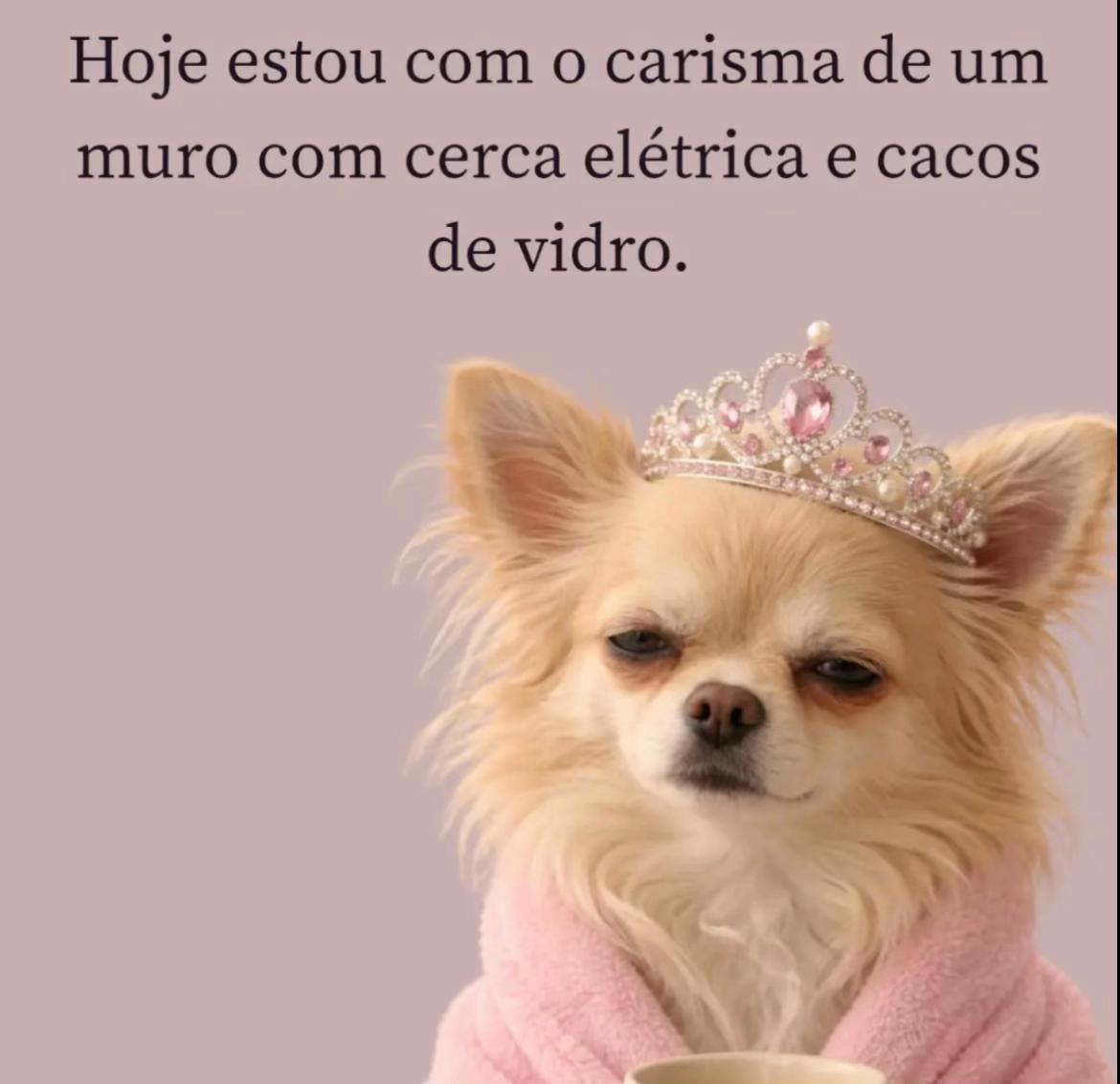@Paula Vitti