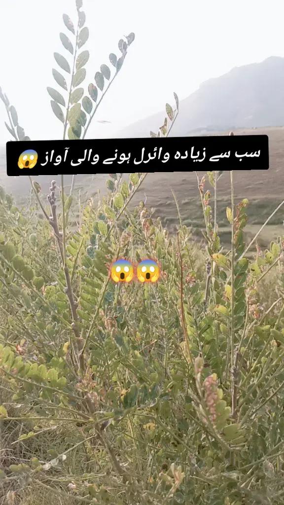 @✨Zahir_khan✨