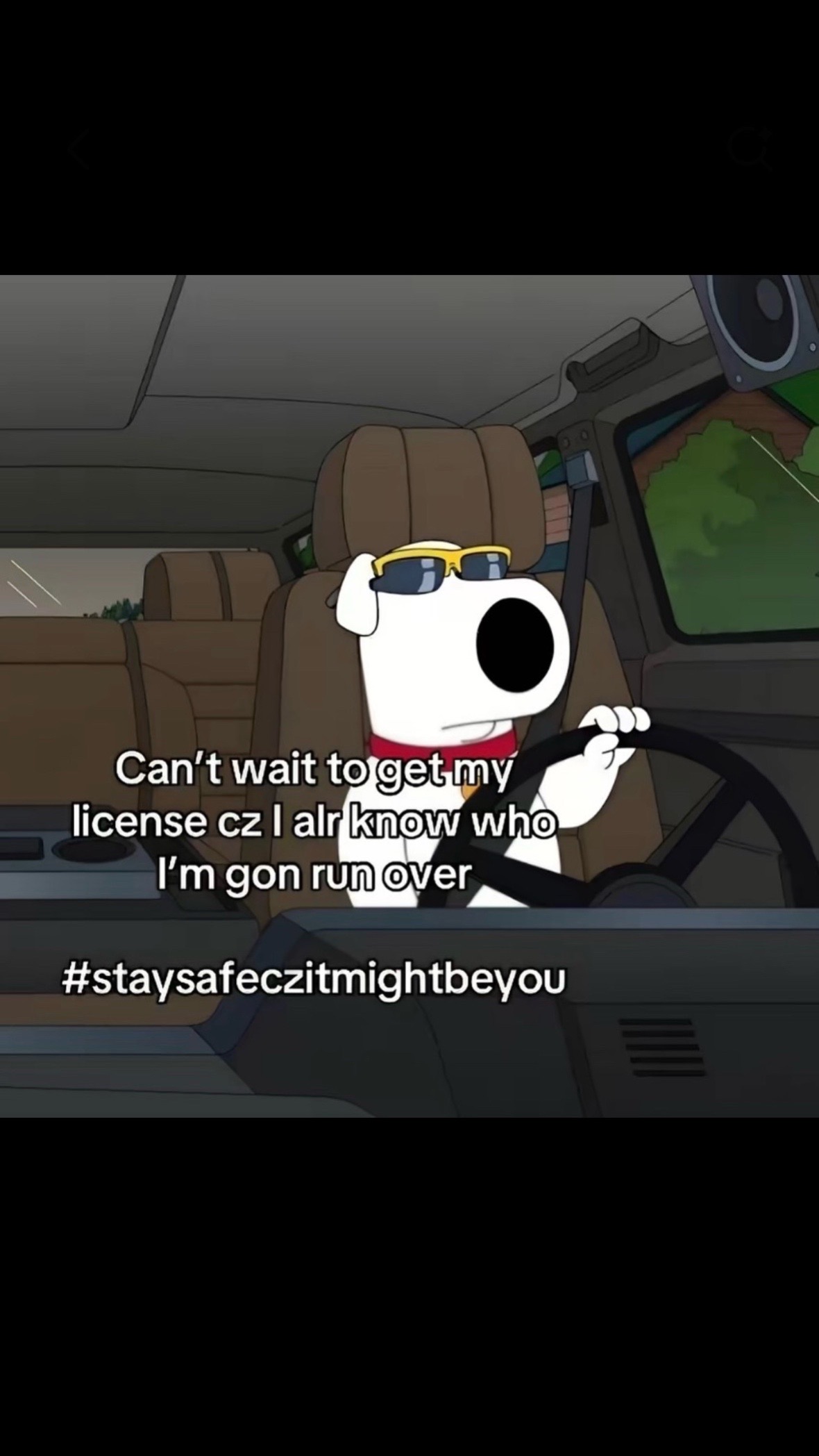@minddumpdailyyy