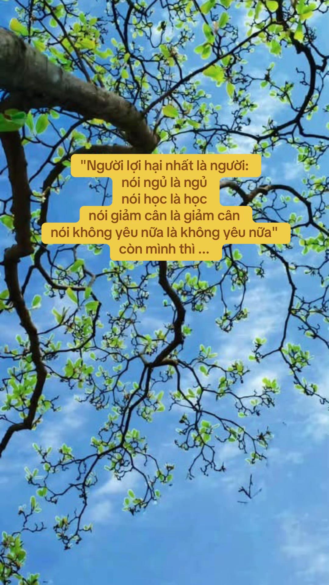 @Nozy