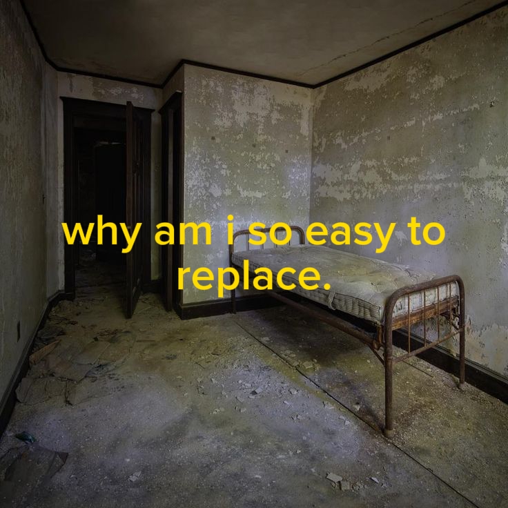 @╋━𝖄𝖚𝖆𝖓🪽