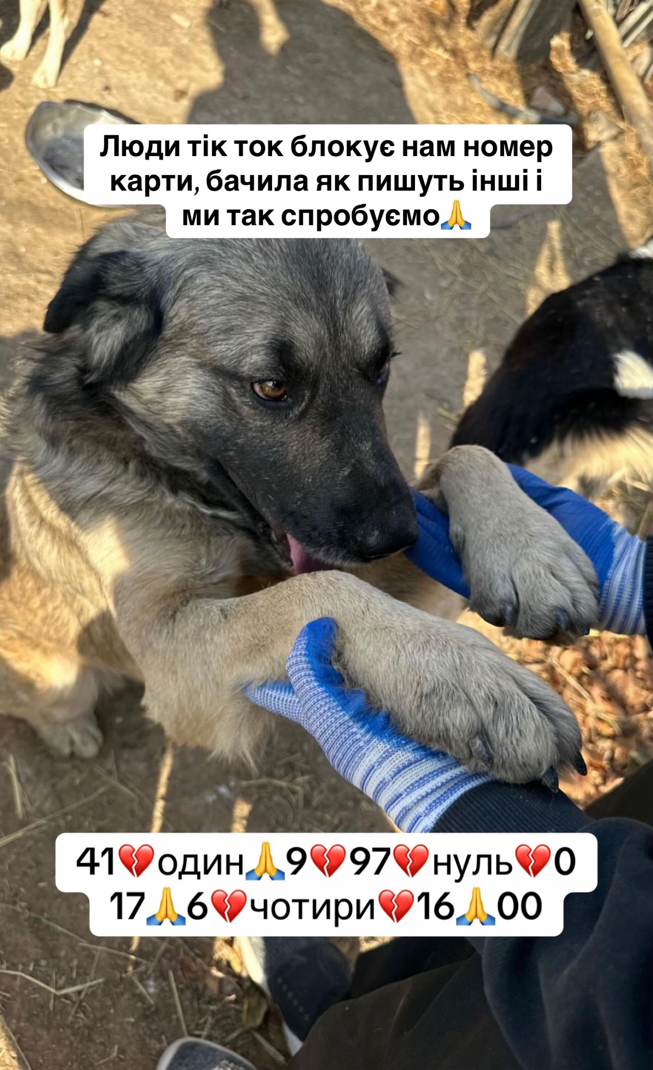 @kvitochki222