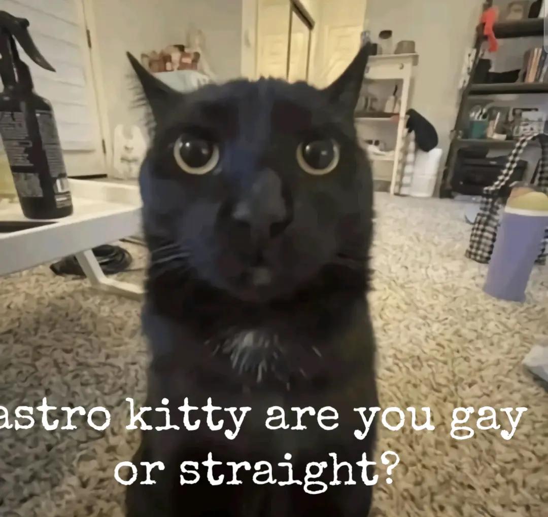 @🪐Astro Kitty🌌