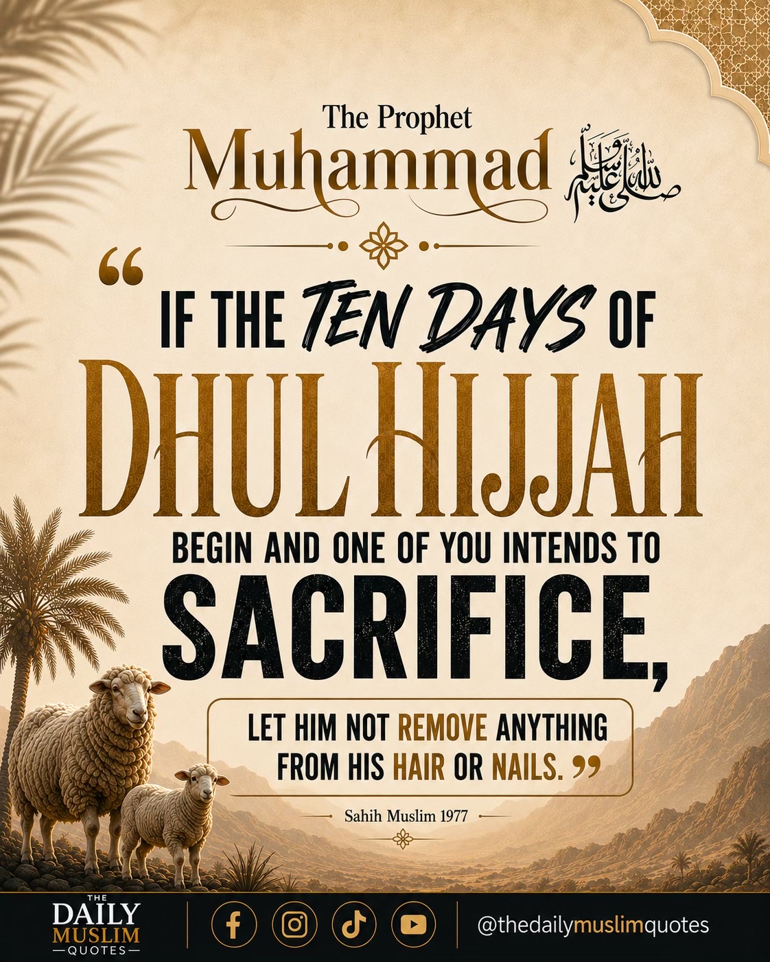 @thedailymuslimquotes