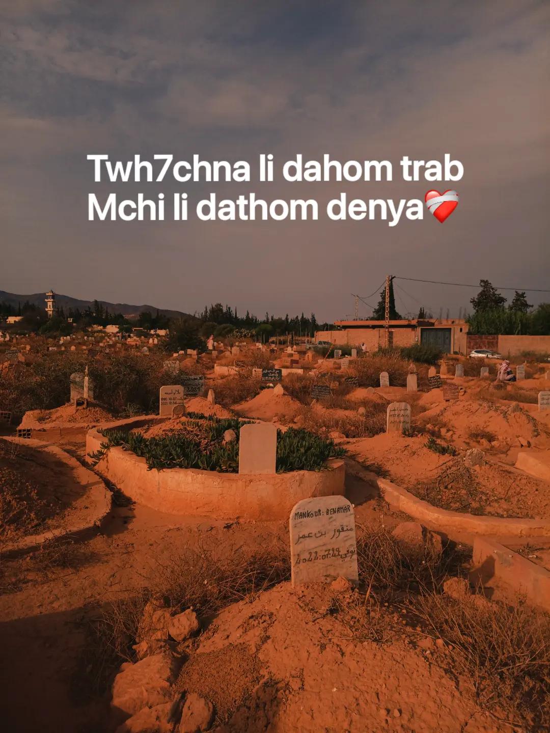 @🇩🇿💯