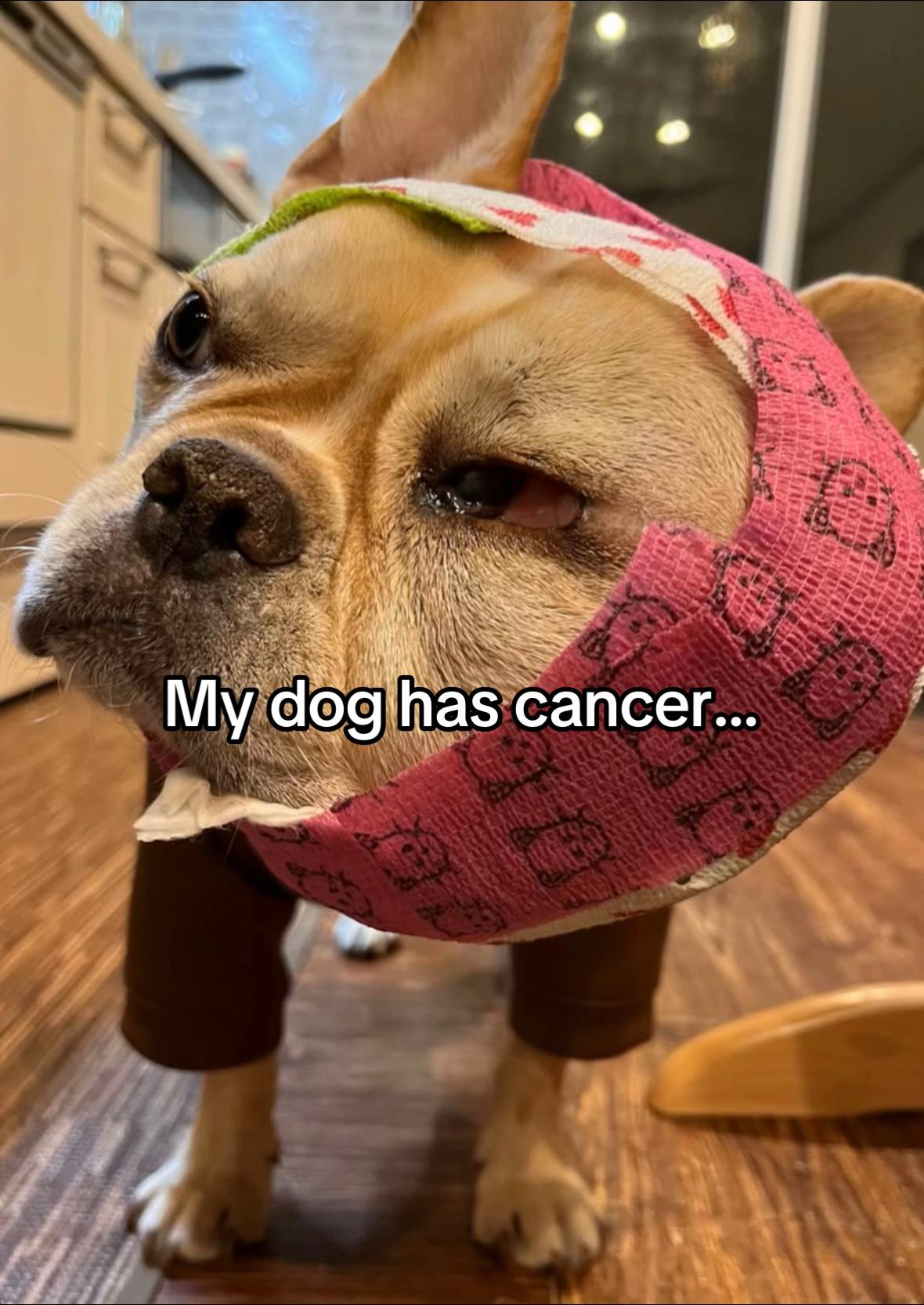 @Surgery for Lucy0