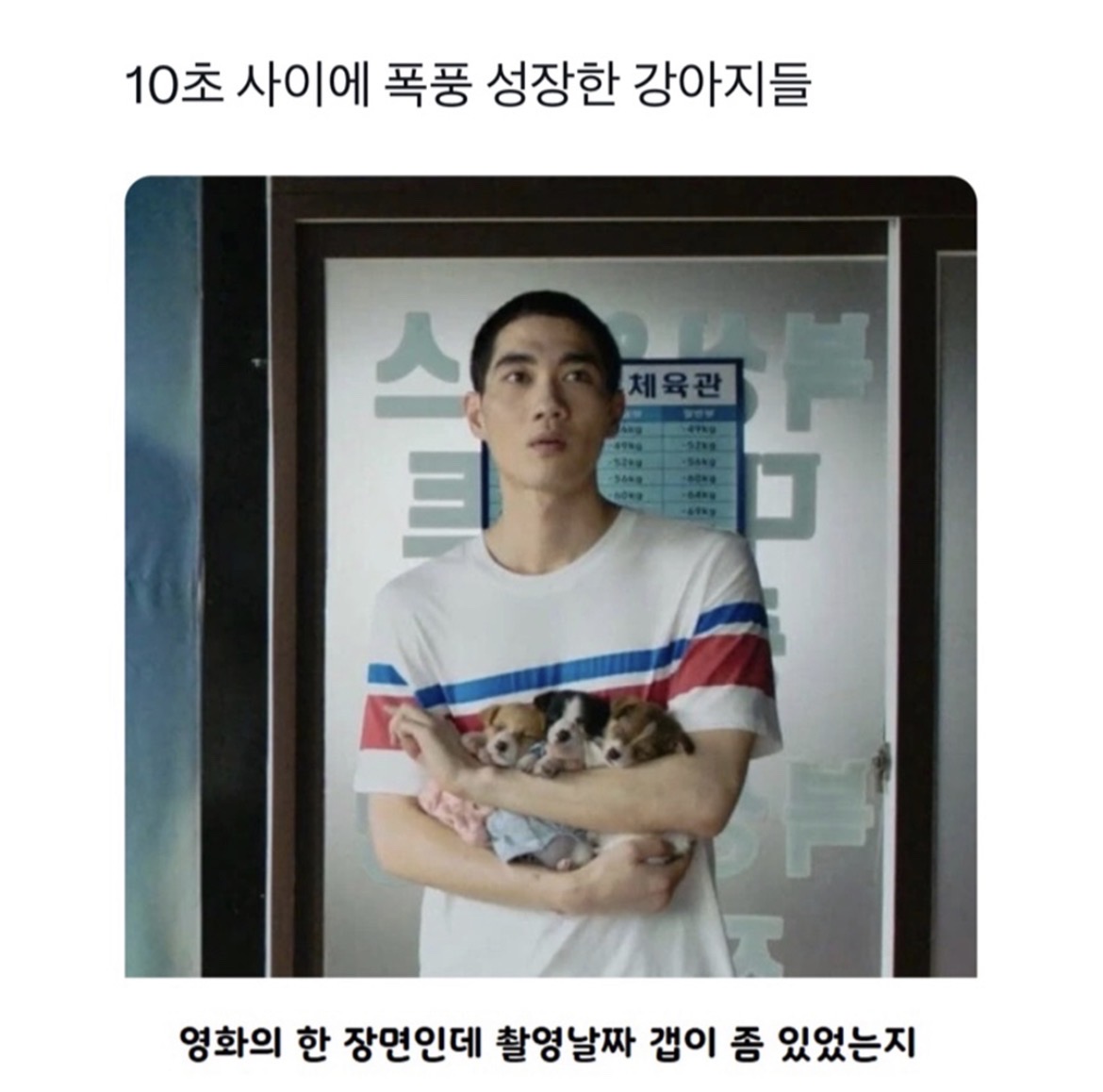 @로이젤