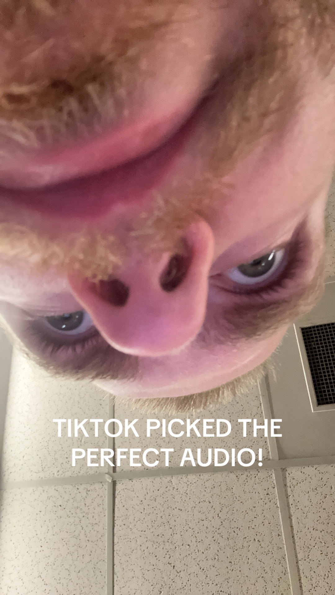 @FROWNS4LIFE