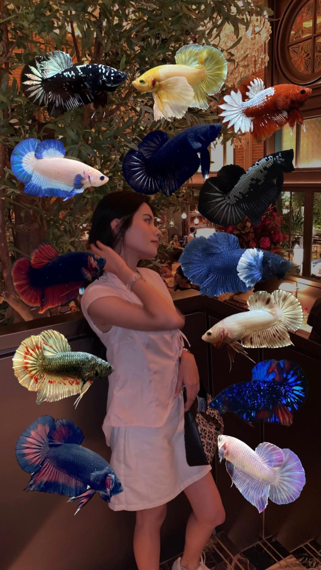 @Yumi