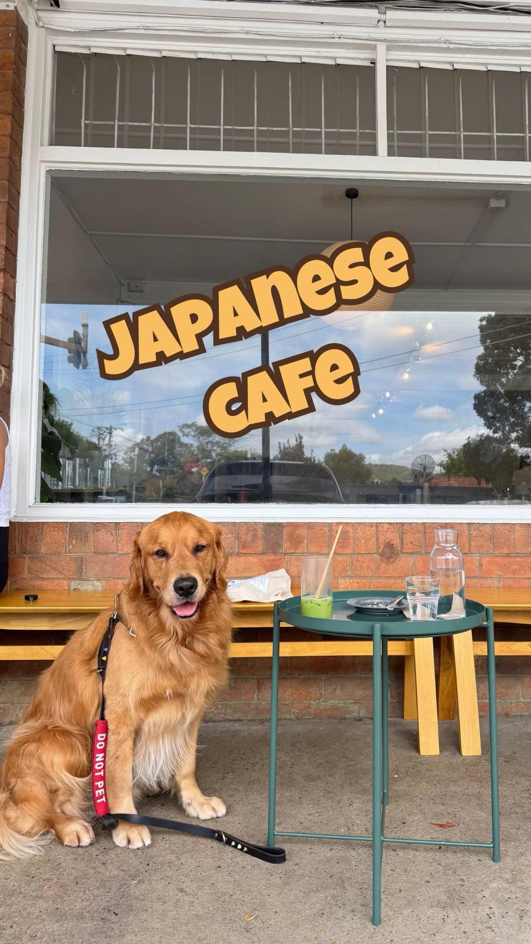@Brisbane Dog Friendly