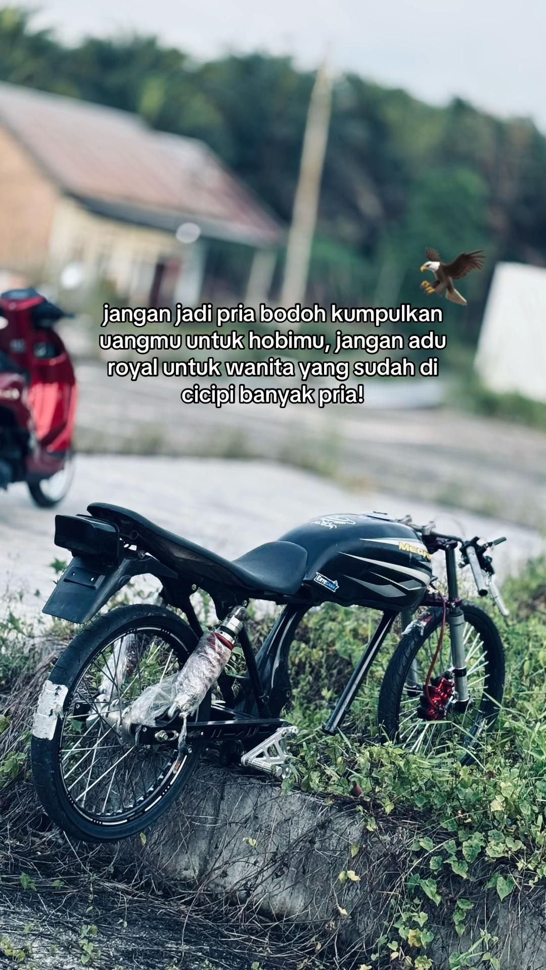 @Haris Ngeblonk77