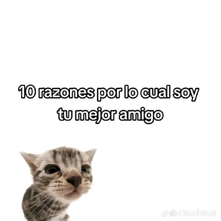 @Mat(Cuco's Versión)