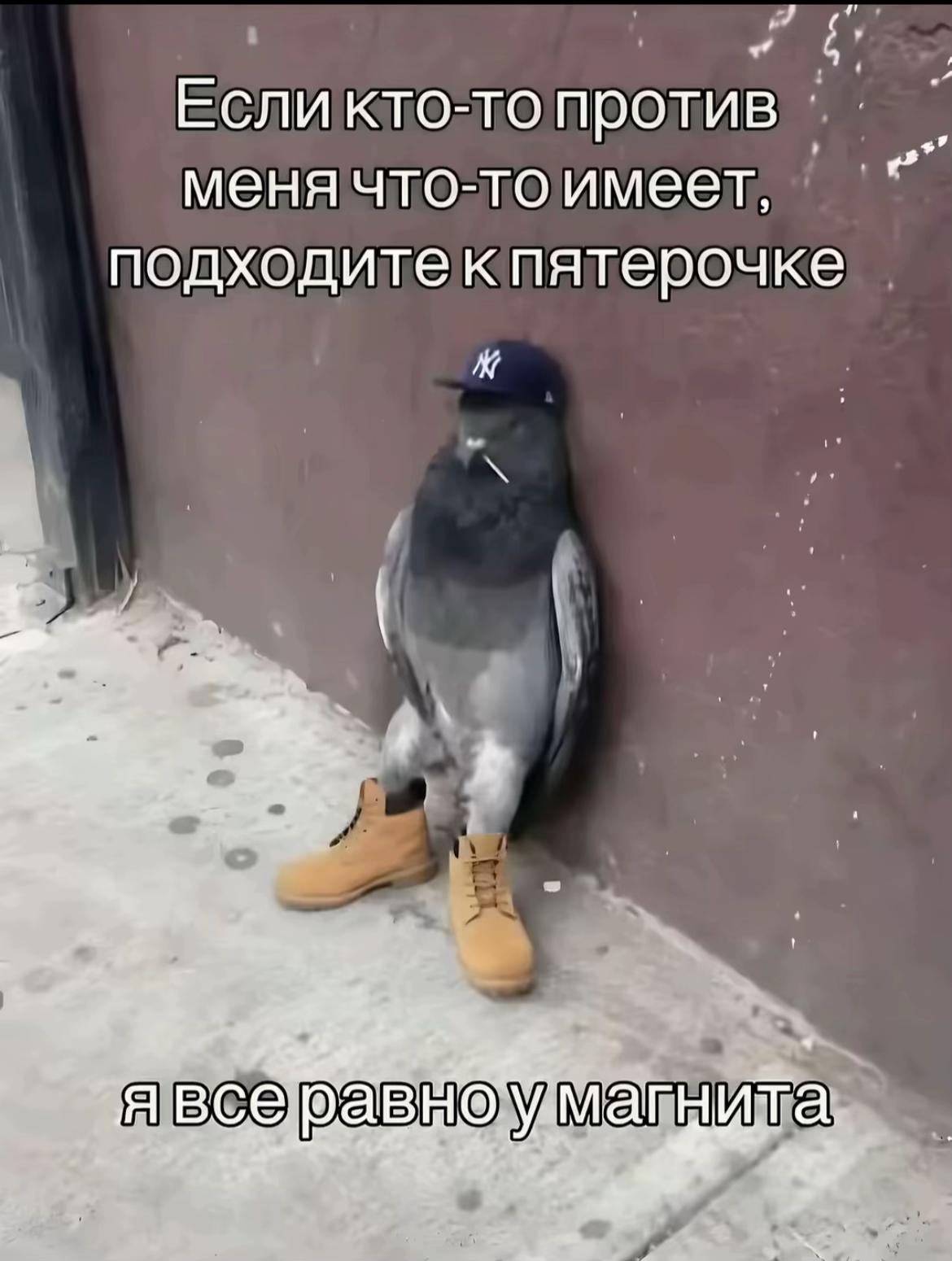 @NeTypoi#767