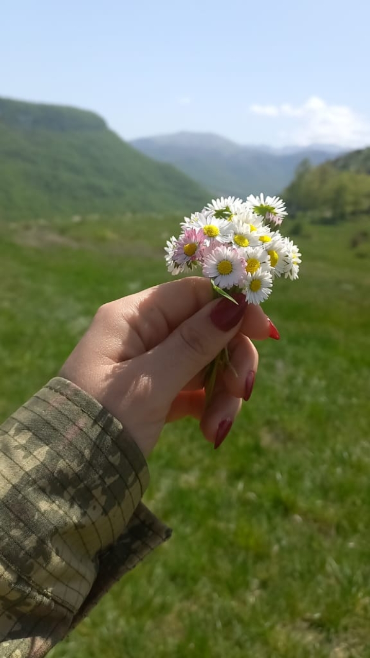@bahar__m_v_a