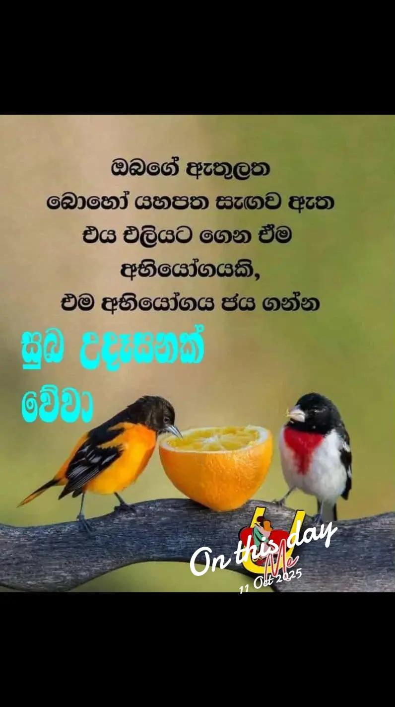 @prasanna
