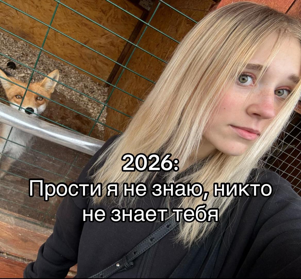 @vedlis