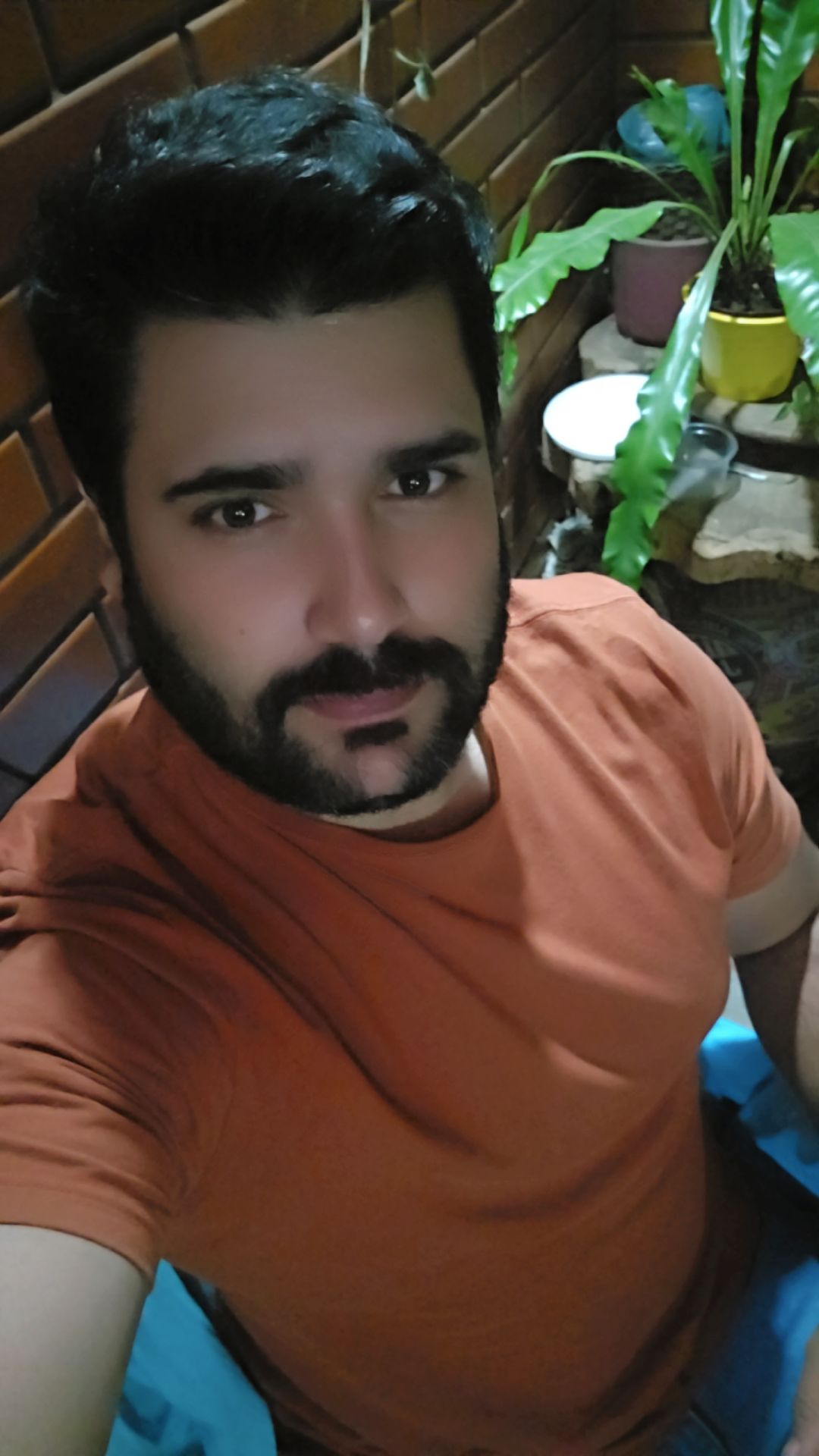 @Alan Gonçalves