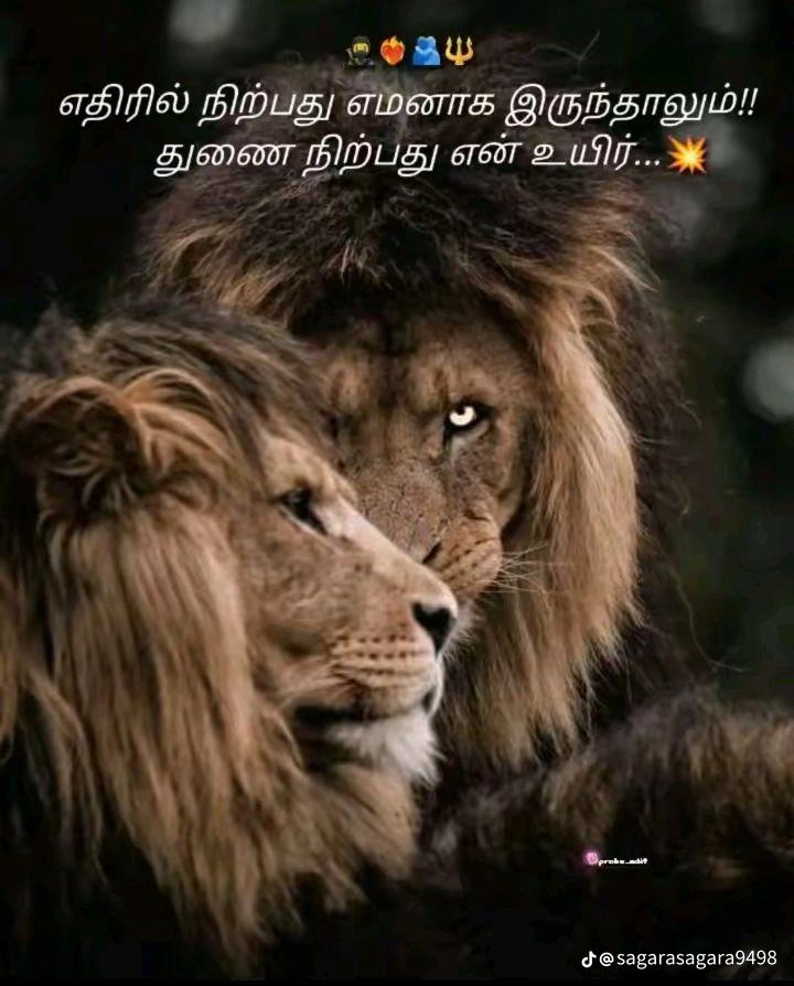 @T.P.R sajee