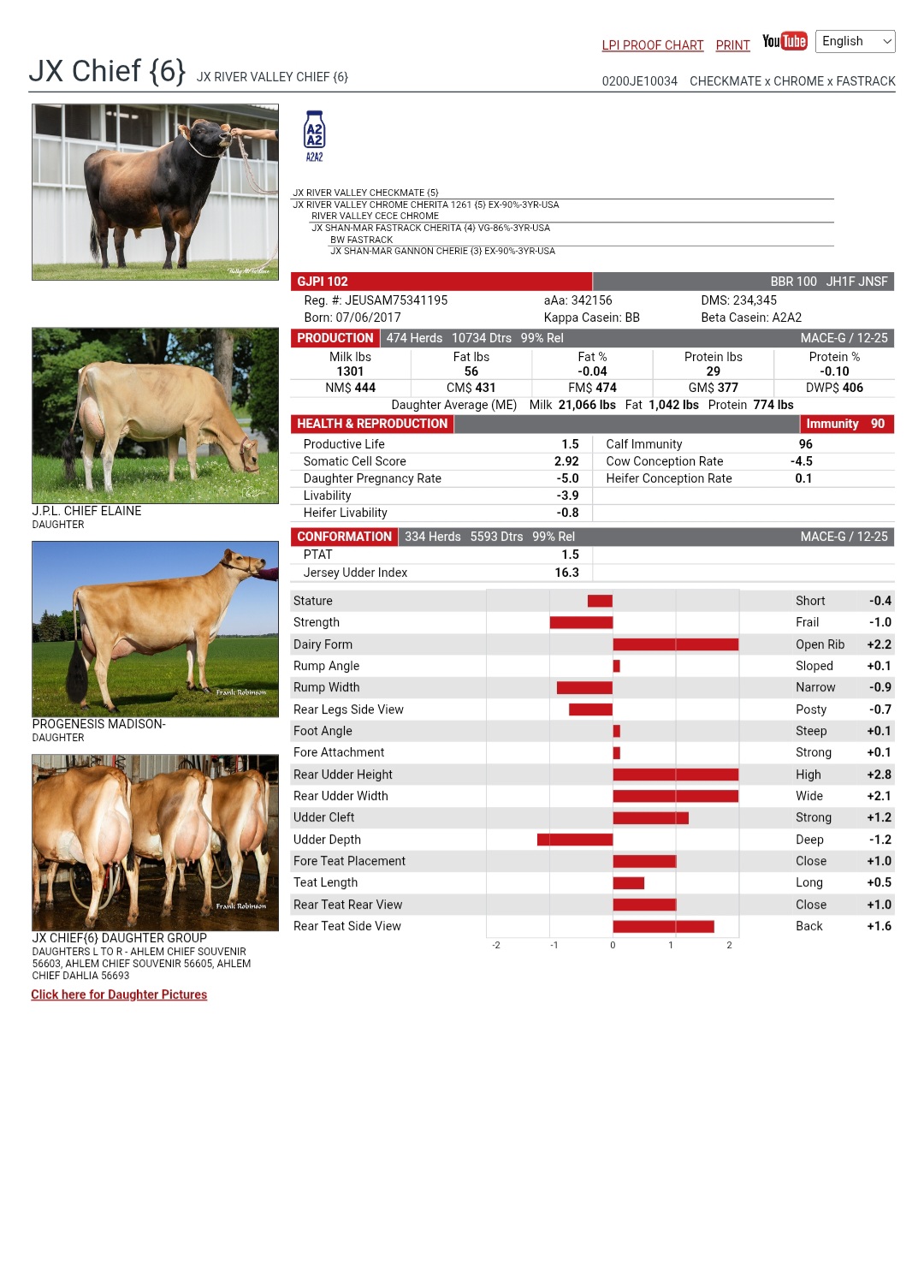 @SEMEX