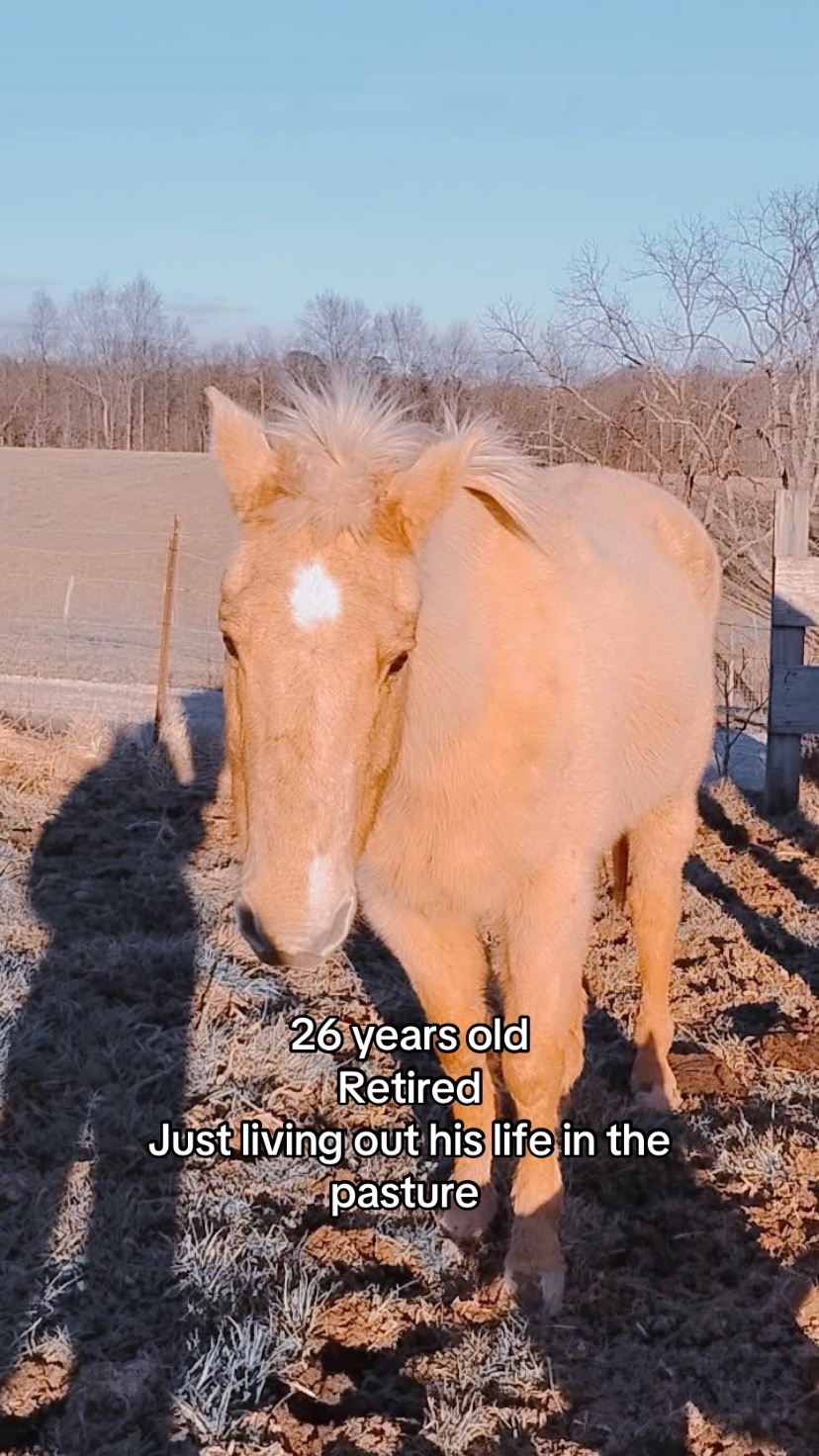 @em